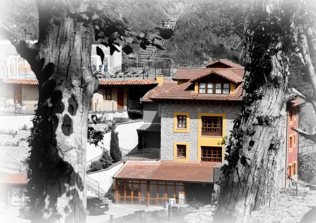 Hotel Puente Vidosa Amieva Buitenkant foto